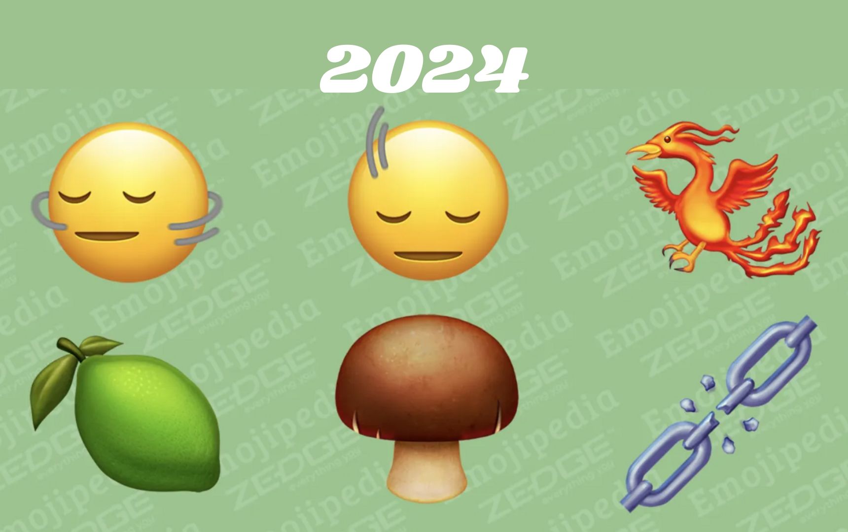 Nuove Emoji 2024